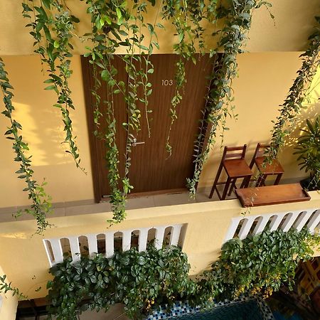 The View Homestay Hoi An Exterior photo
